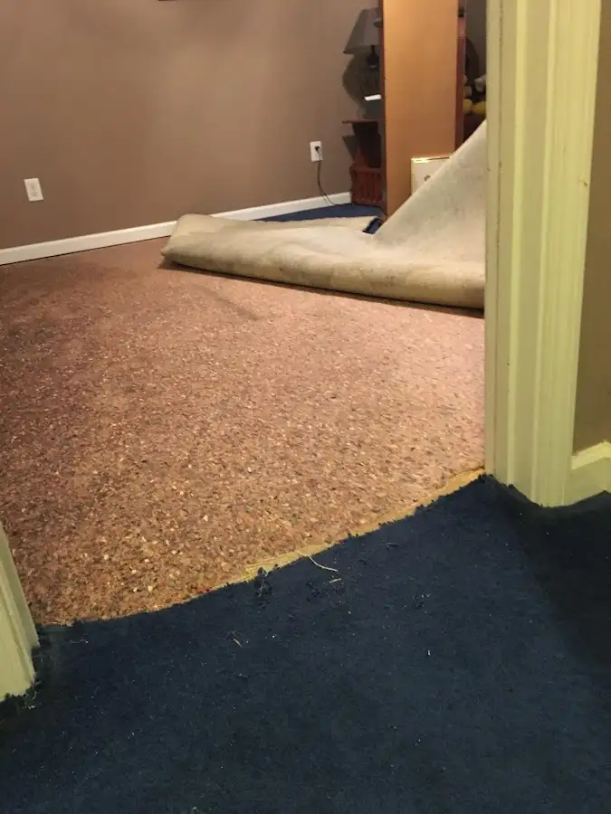 Carpet pad removal revealing water damage during Drying & Dehumidification in Baldwin